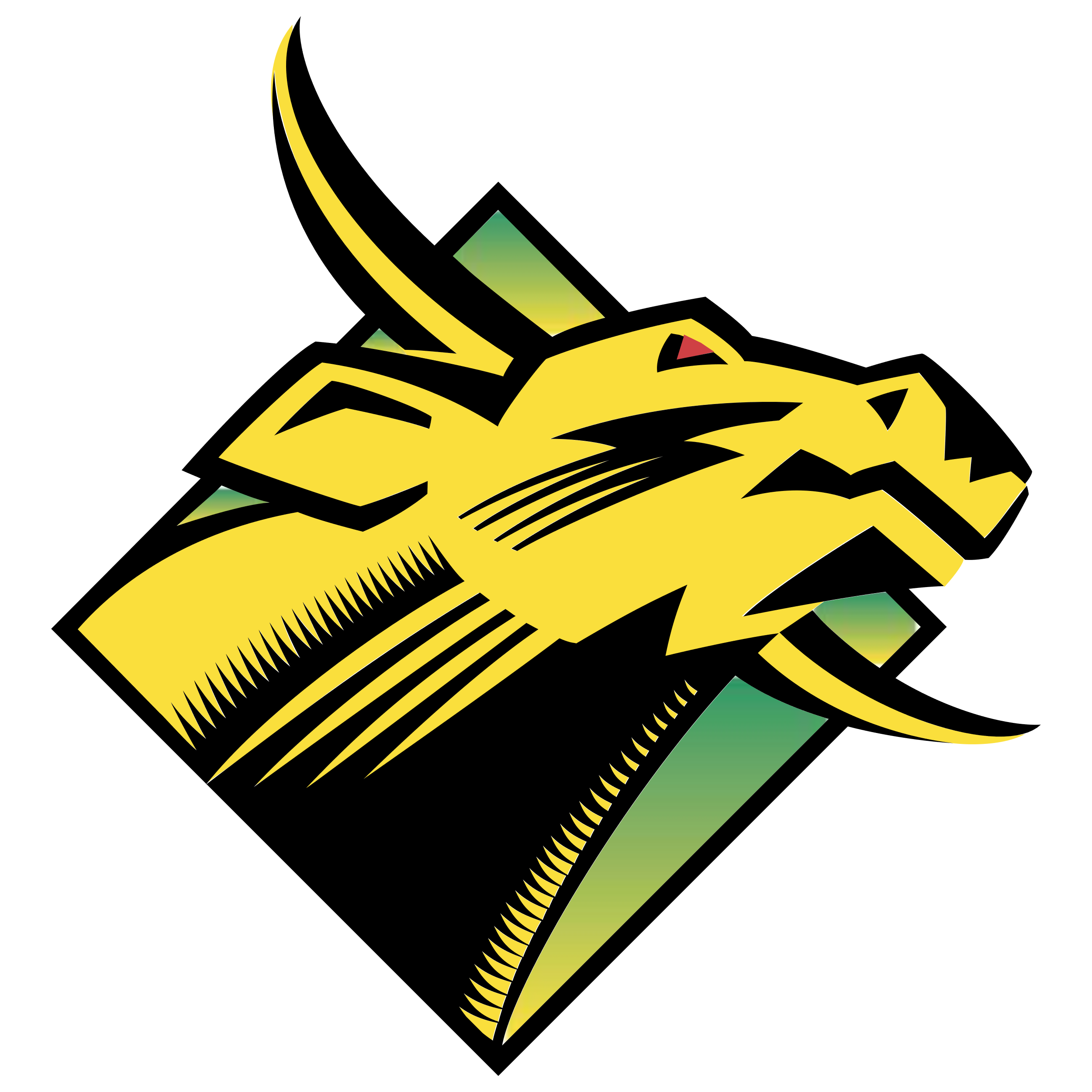 Usf Logo