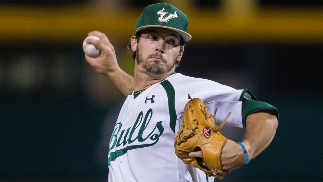 USF South Florida Bulls